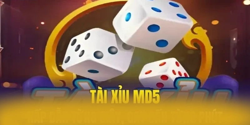 Khám phá 8XBET - Nhà cái trực tuyến được tin dùng hiện nay