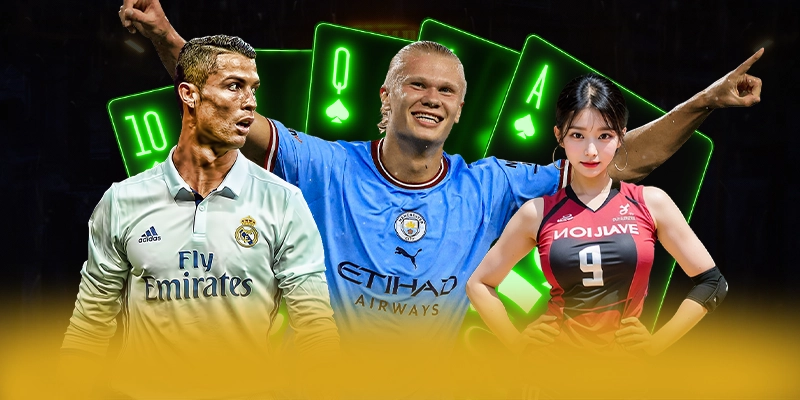 Đánh giá toàn diện 8XBET - Nhà cái cá cược chất lượng cao hiện nay