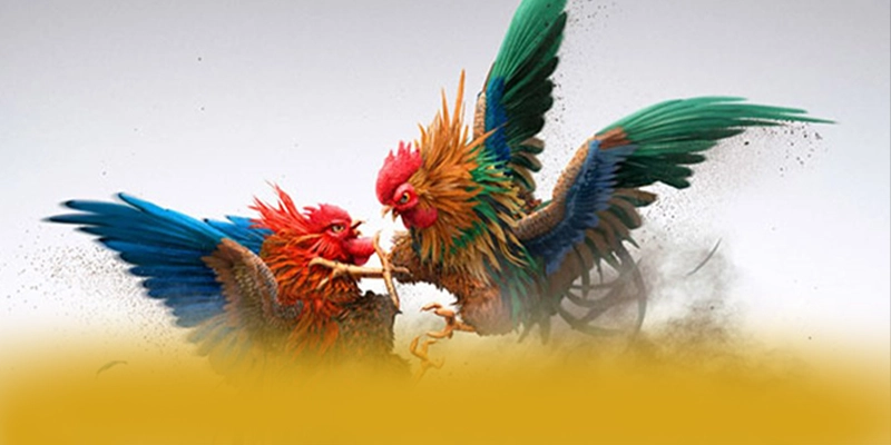 SUNWIN – Thương hiệu uy tín số 1 tại Việt Nam