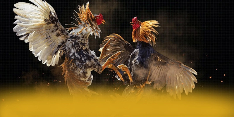 Đội ngũ hỗ trợ người chơi tại SUNWIN